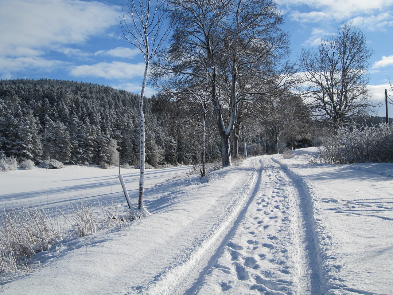 away winter snow free photo