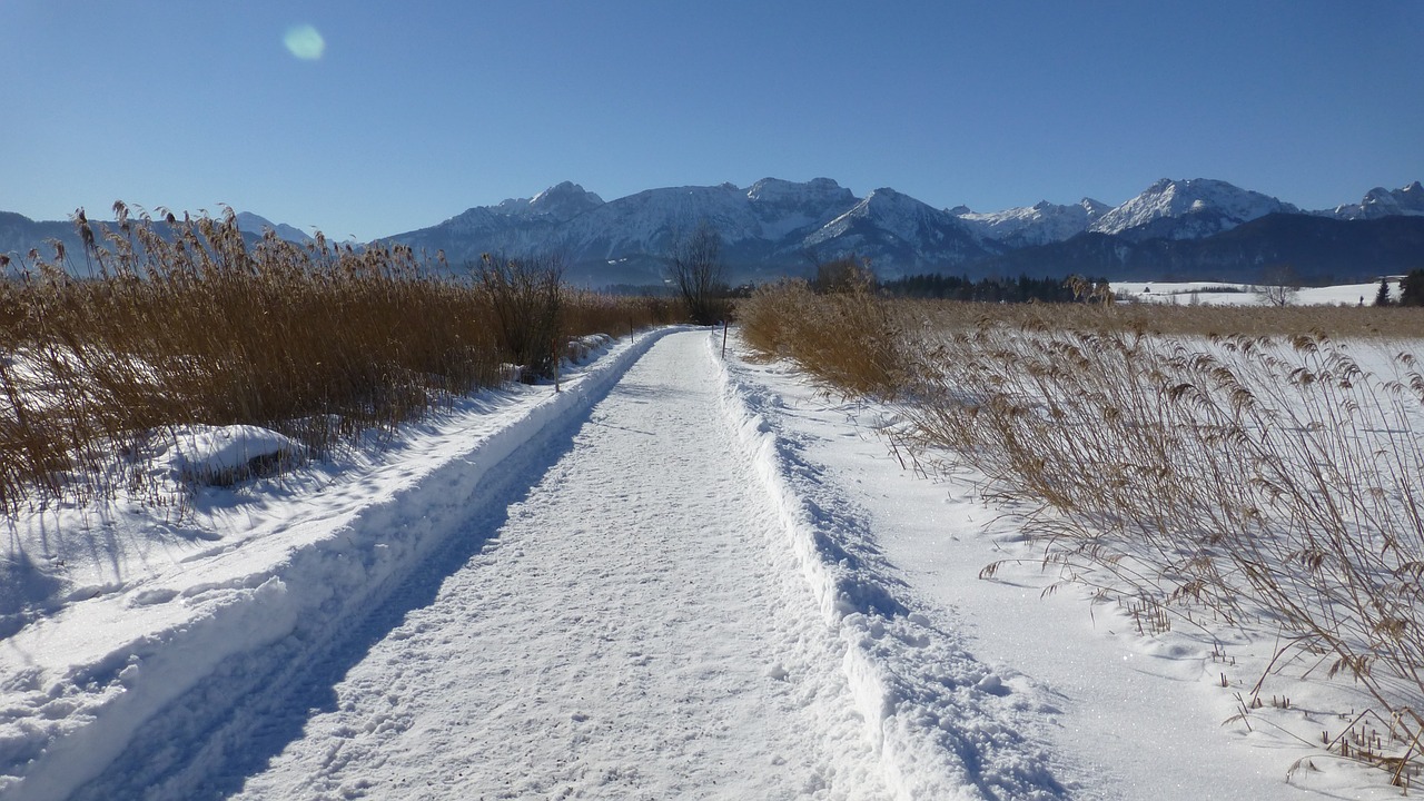 away lake bavaria free photo