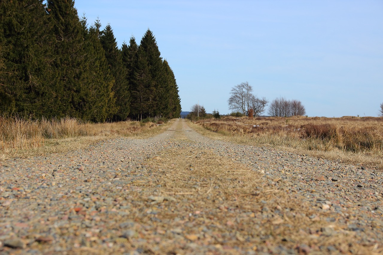 away road landscape free photo