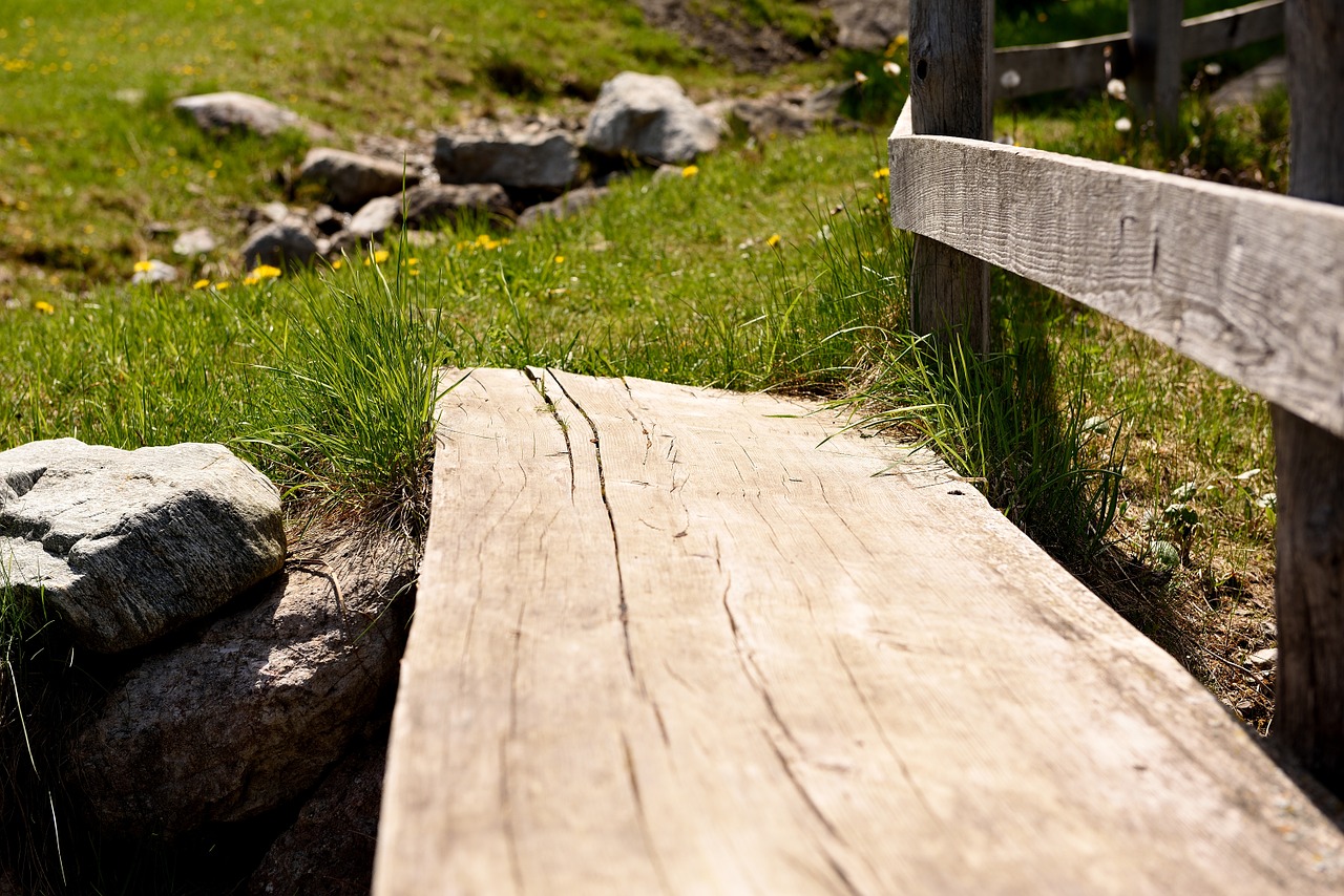 away nature trail boardwalk free photo