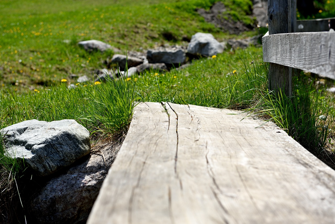 away trail wood transition free photo