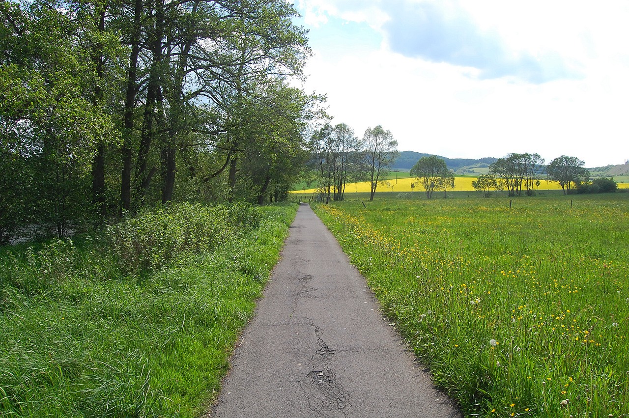 away nature meadow free photo