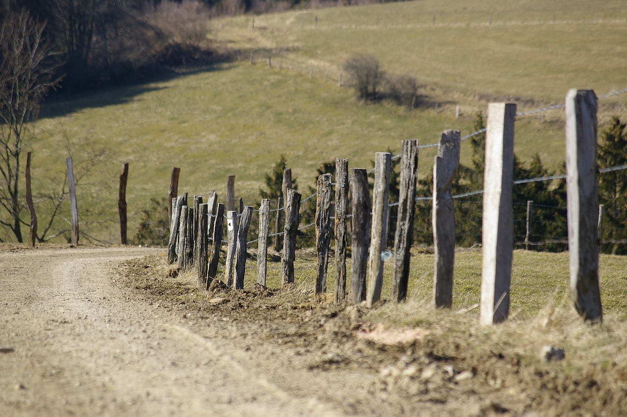 away fence nature free photo