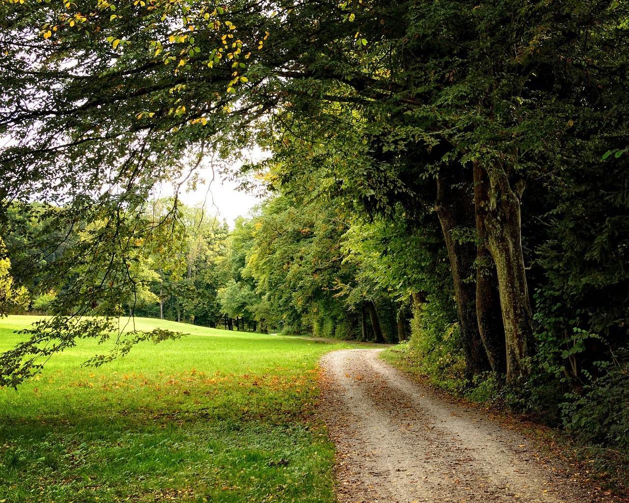 away lane autumn free photo