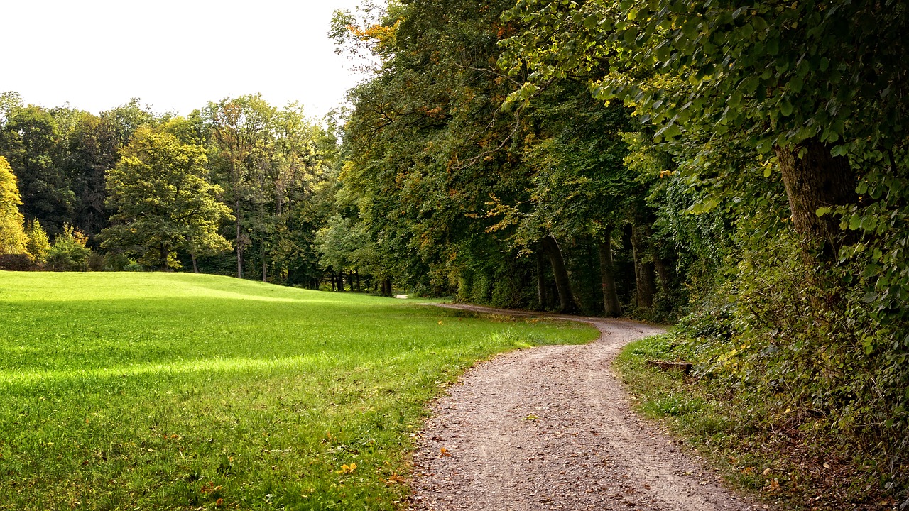 away lane autumn free photo