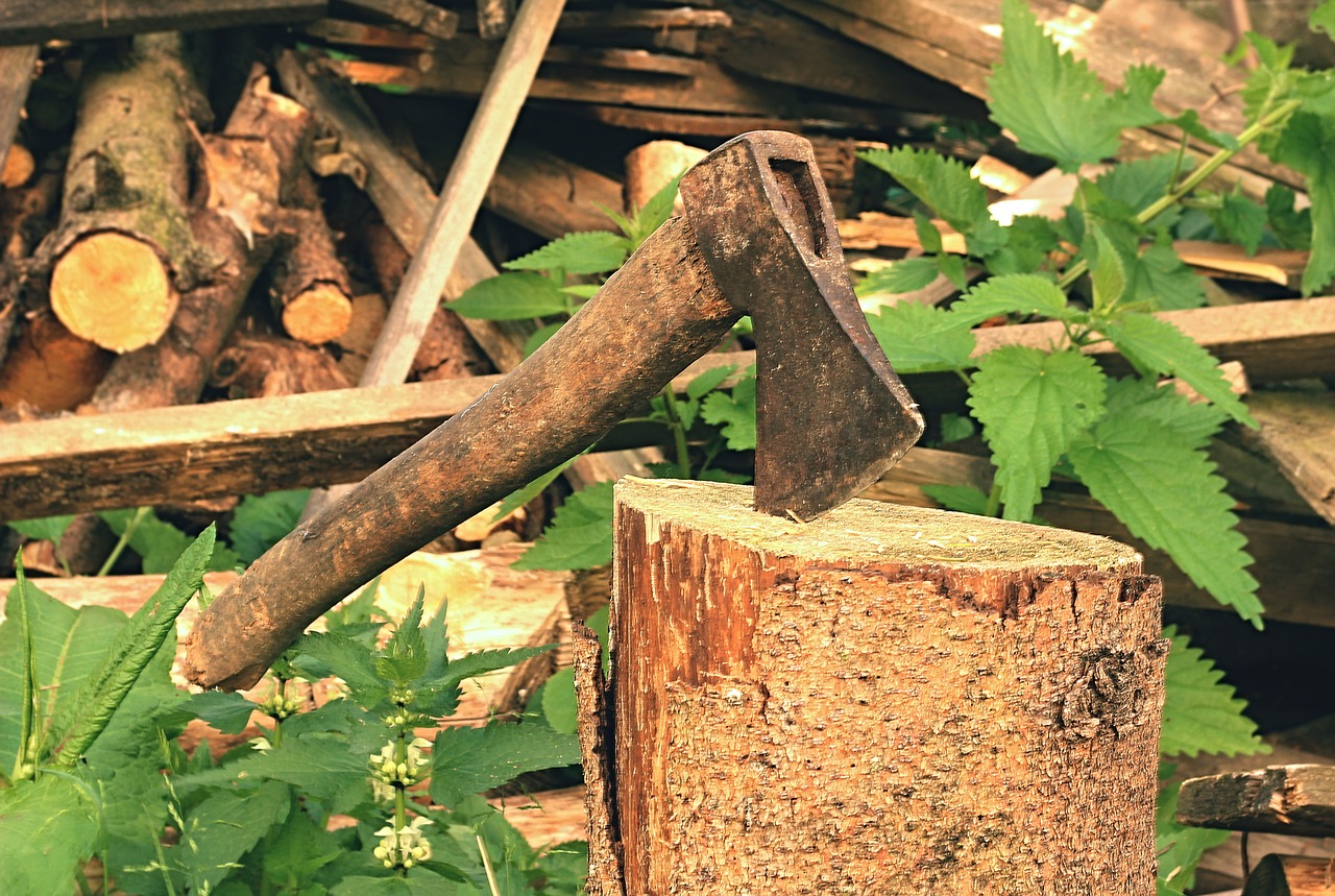 axe old lumberjack free photo