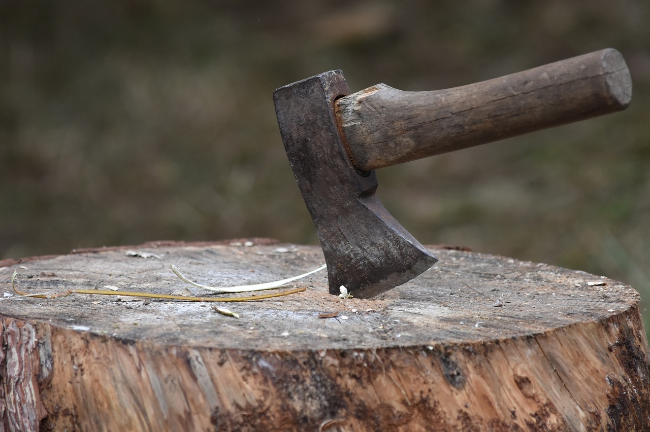 ax wood wood stump free photo