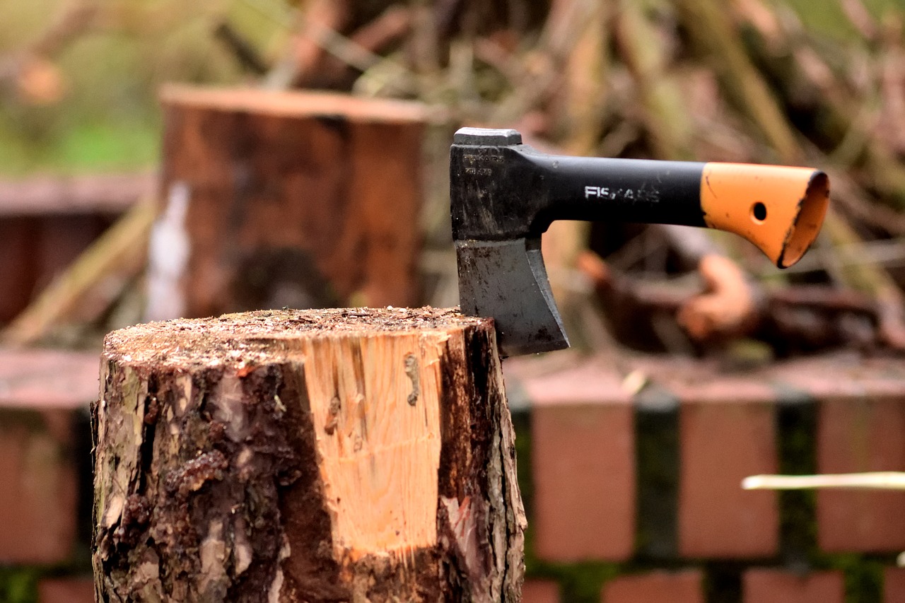 ax lumberjack wood free photo