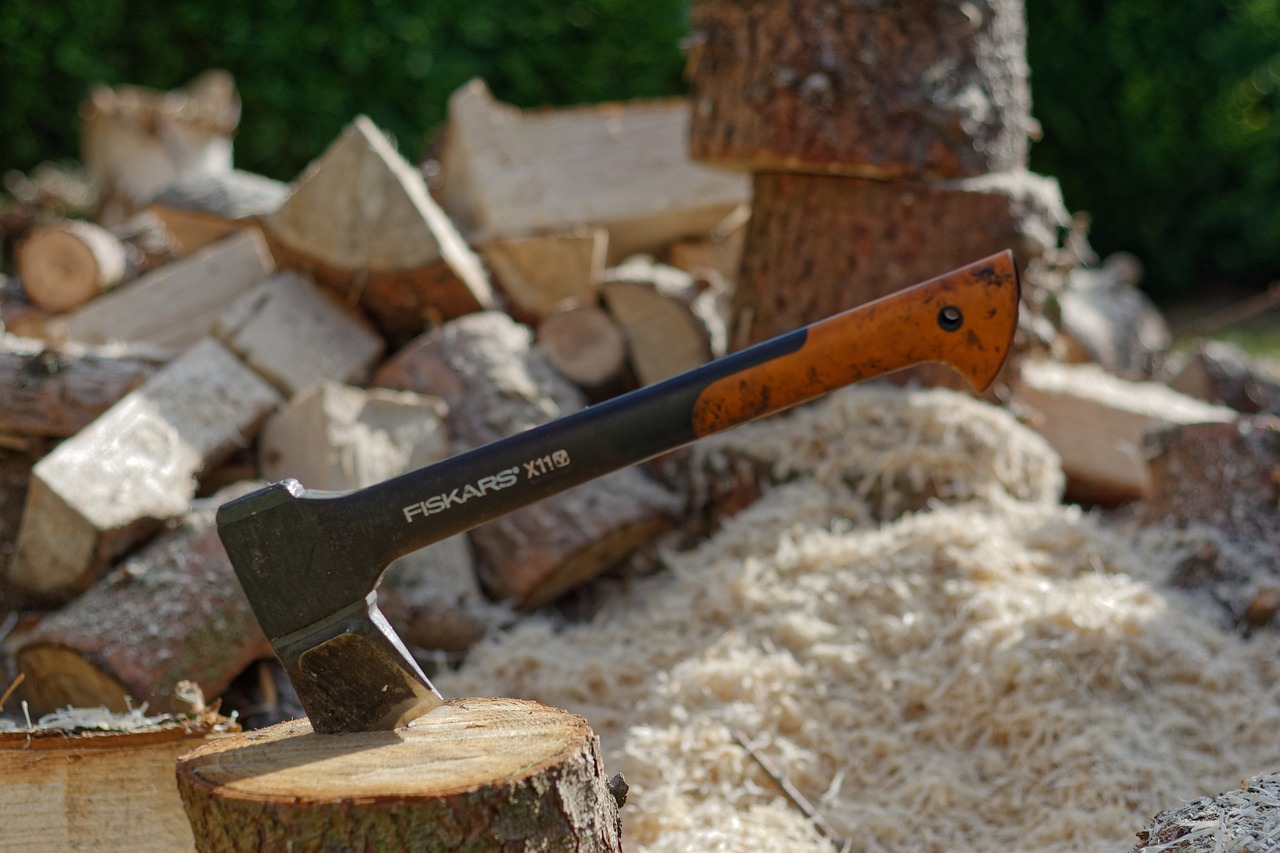 ax  chop  wood free photo