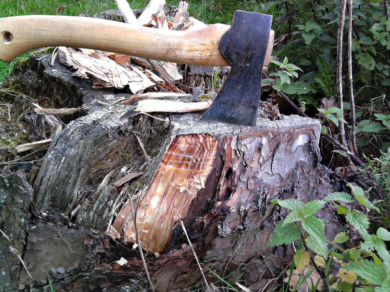ax stump wood free photo
