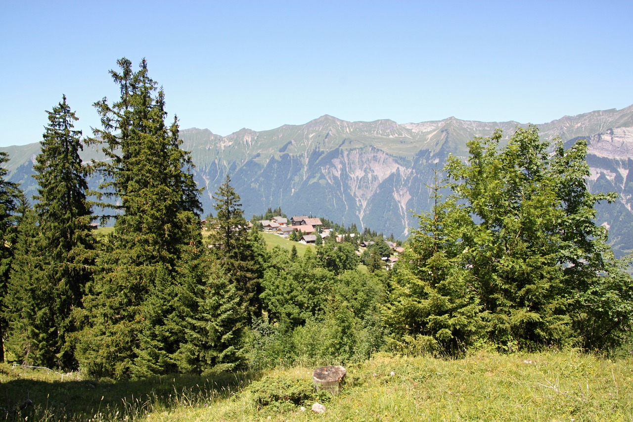 axalp alpine pasture free photo