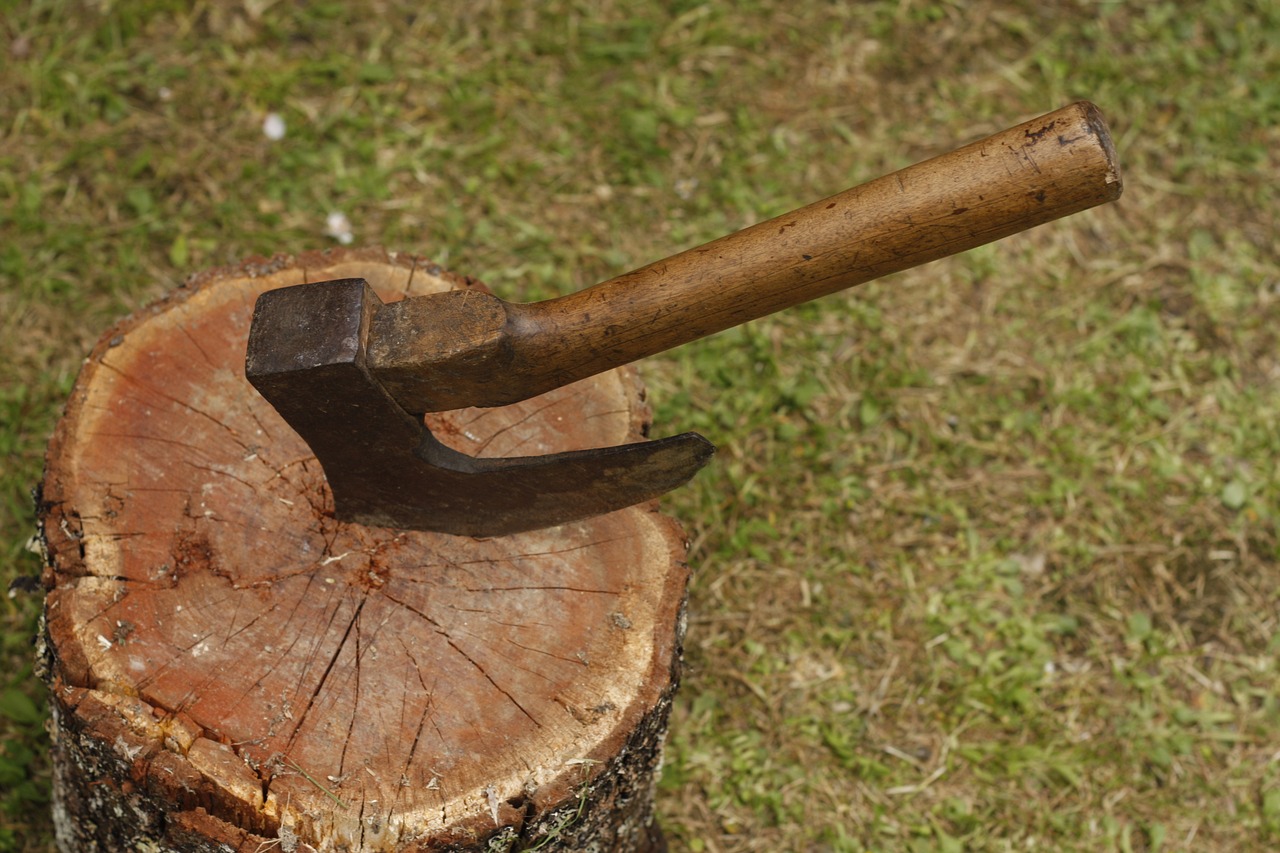 axe tree lumber free photo