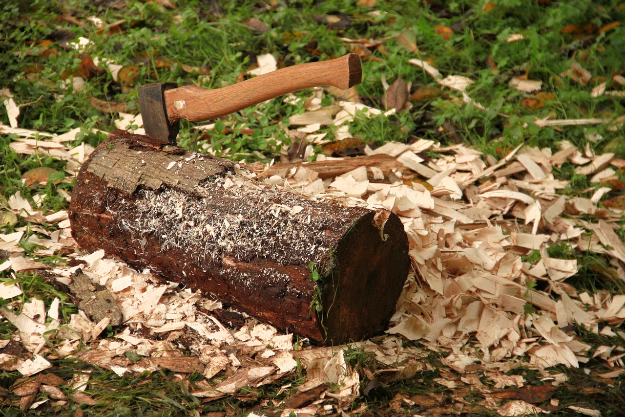 axe log chips free photo