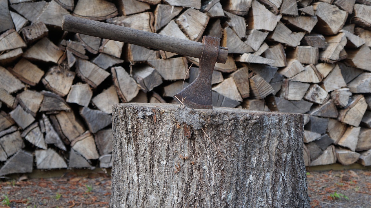 axe  wood  lumberjack free photo