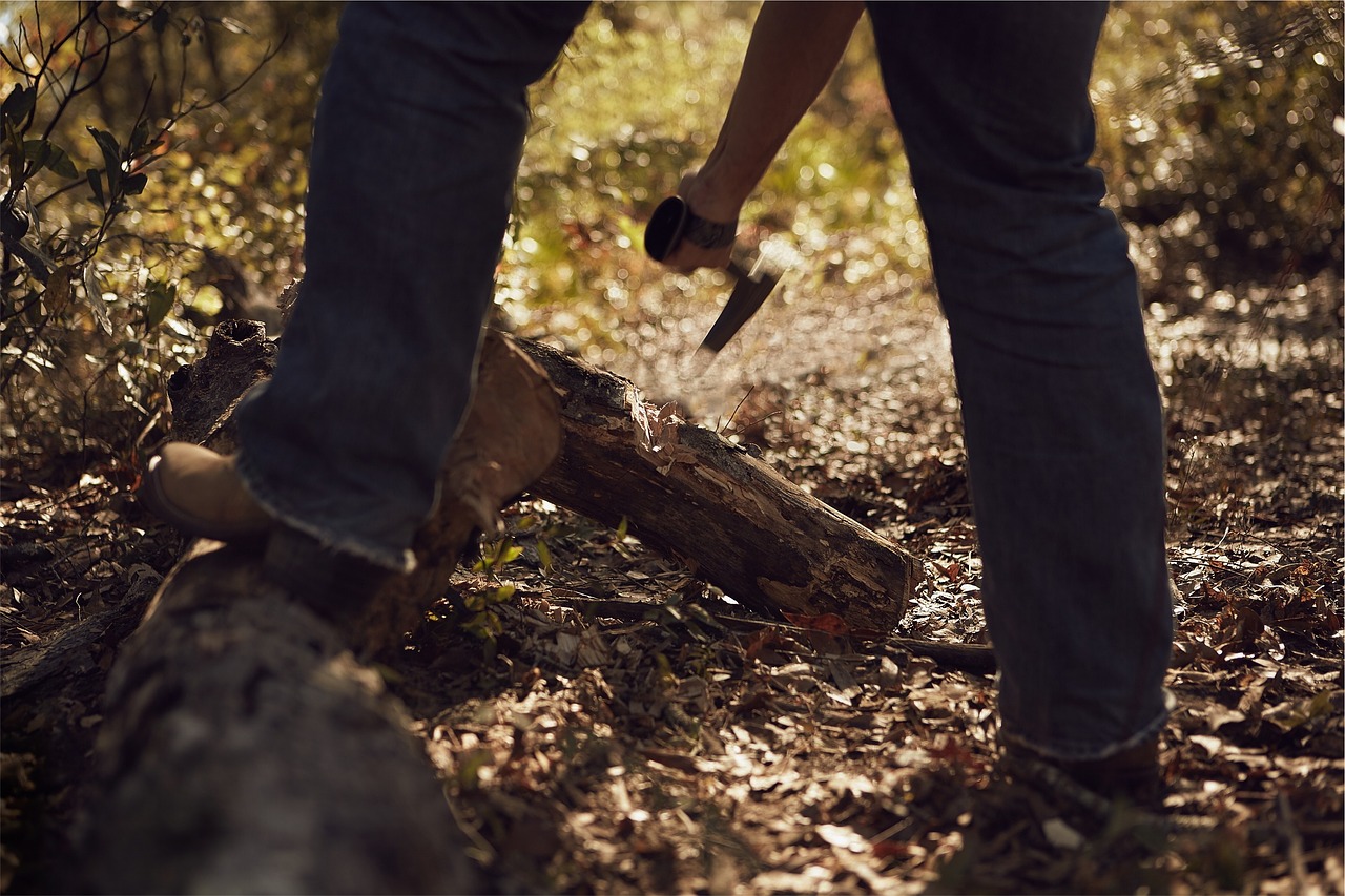 axe chopping wood free photo