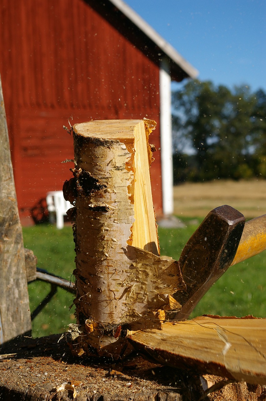 axe wood birch free photo