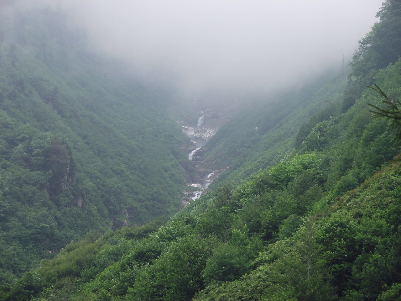 ayder waterfall forest free photo