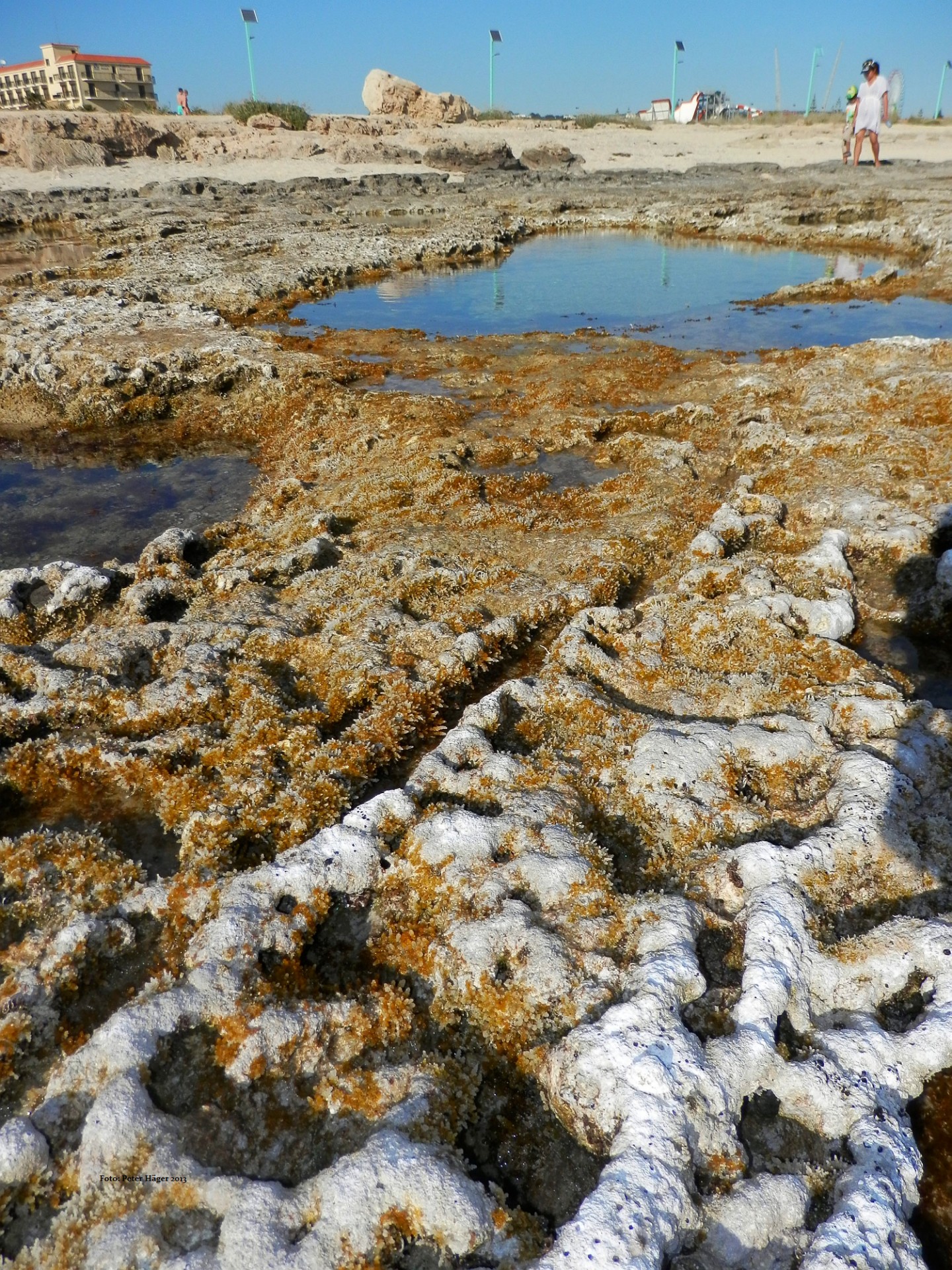 ayia napa cyprus mediterranean free photo