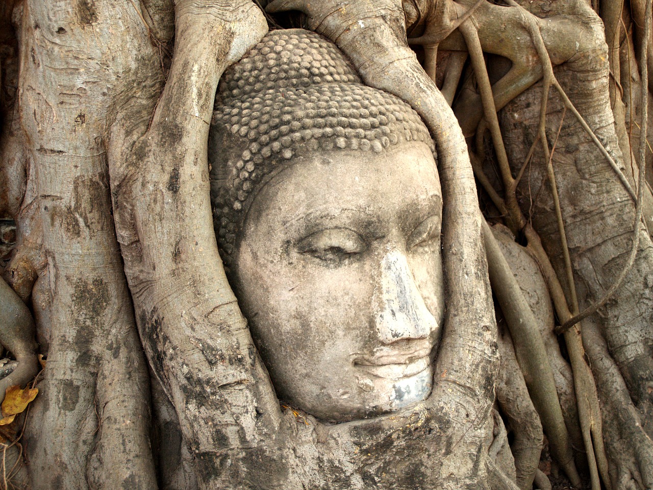 ayutthaya thailand ethnicity free photo