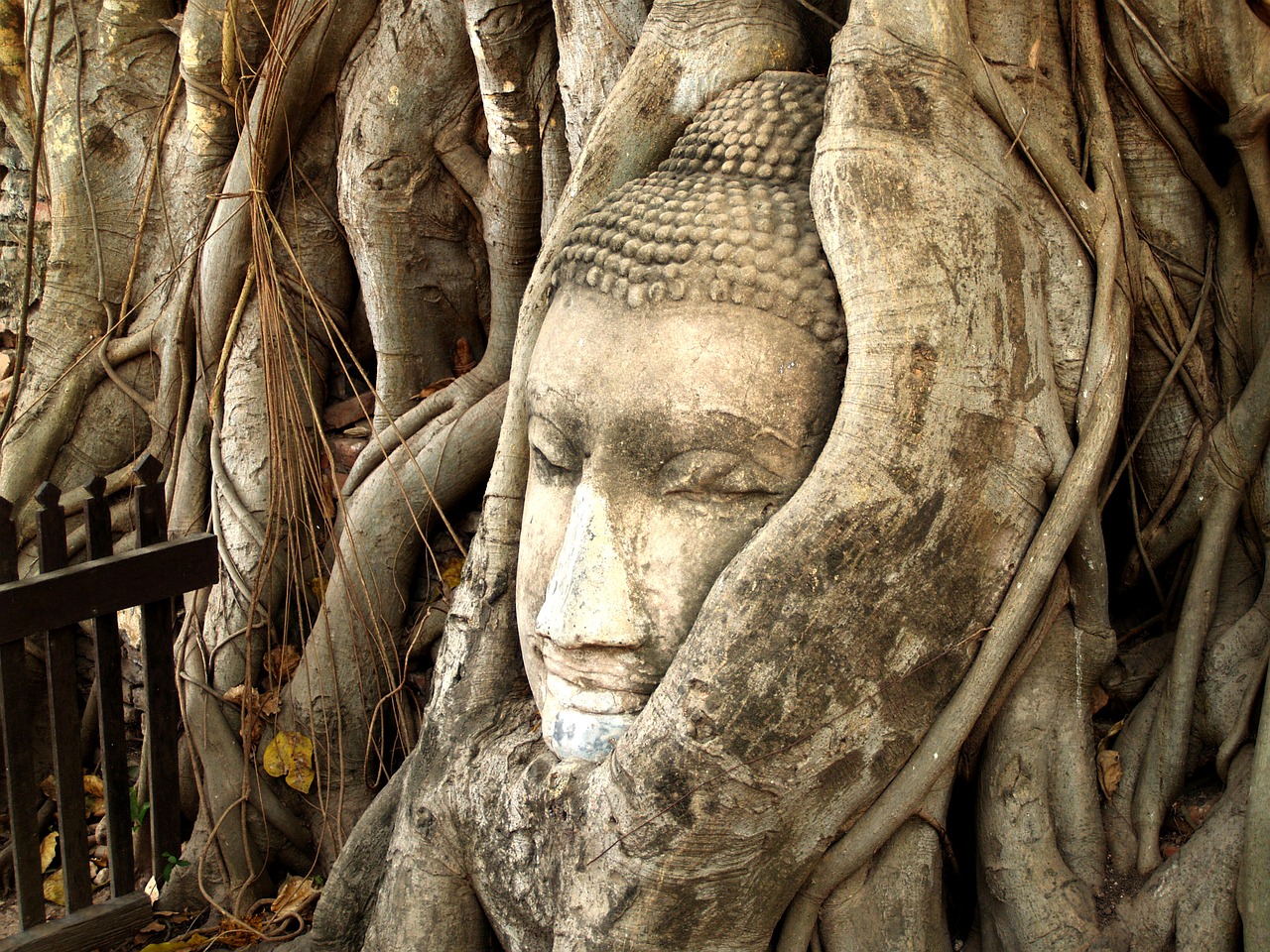 ayutthaya thailand ethnicity free photo