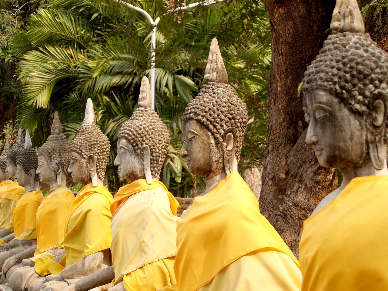 ayutthaya thailand ethnicity free photo