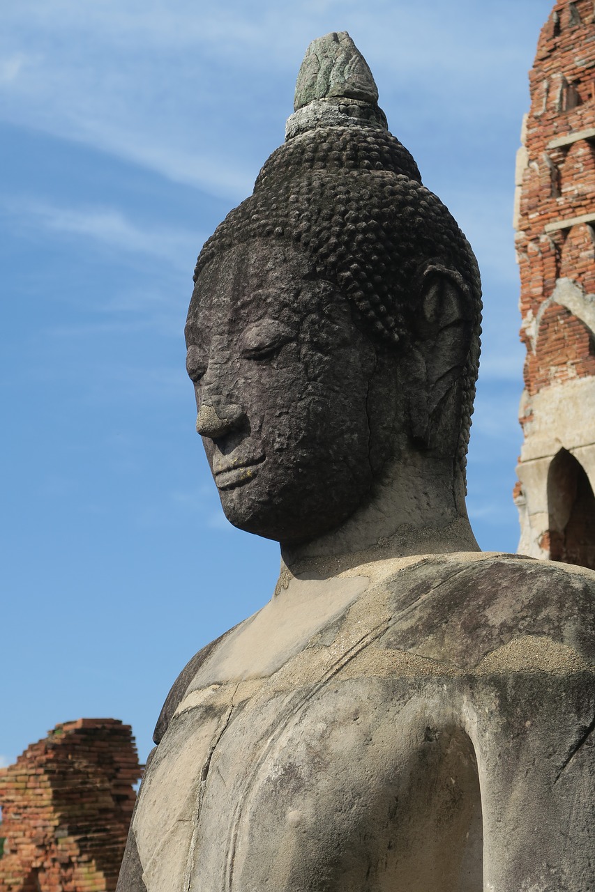 ayutthaya thailand buddha free photo