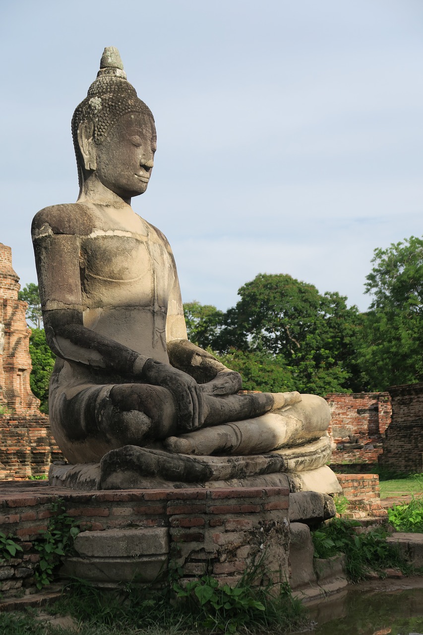 ayutthaya thailand buddha free photo
