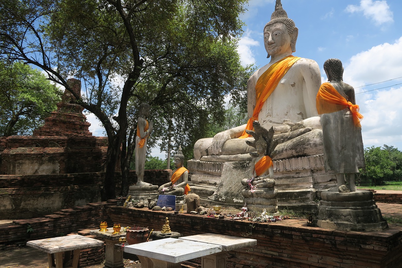 ayutthaya thailand buddha free photo