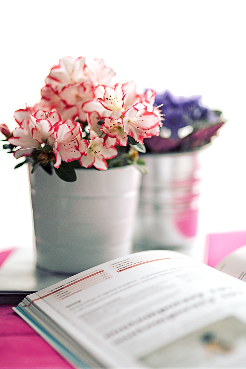 azalea white pot book free photo