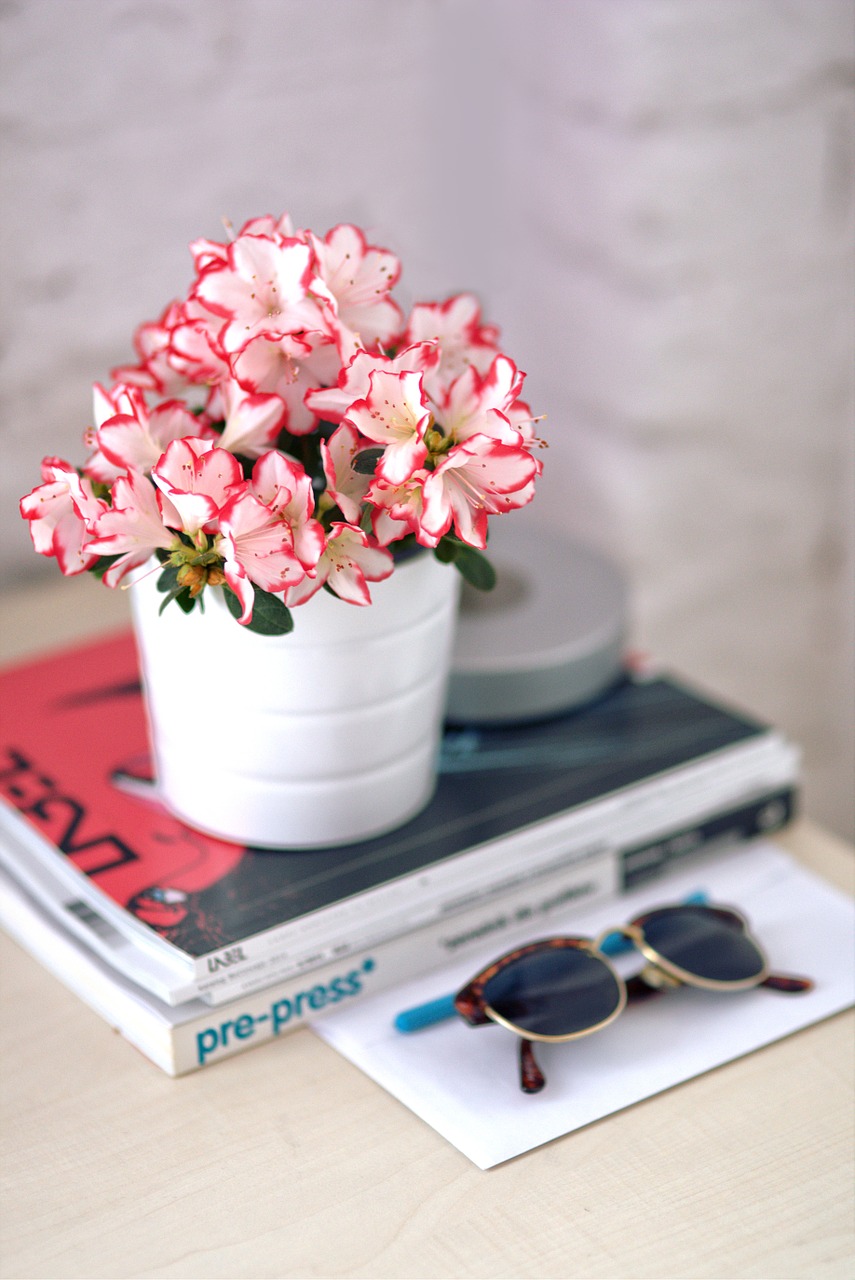 azalea white pot sunglasses free photo