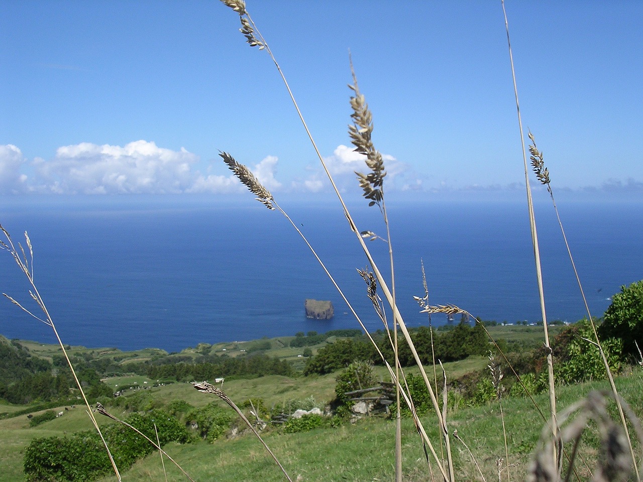 azores sea coast free photo