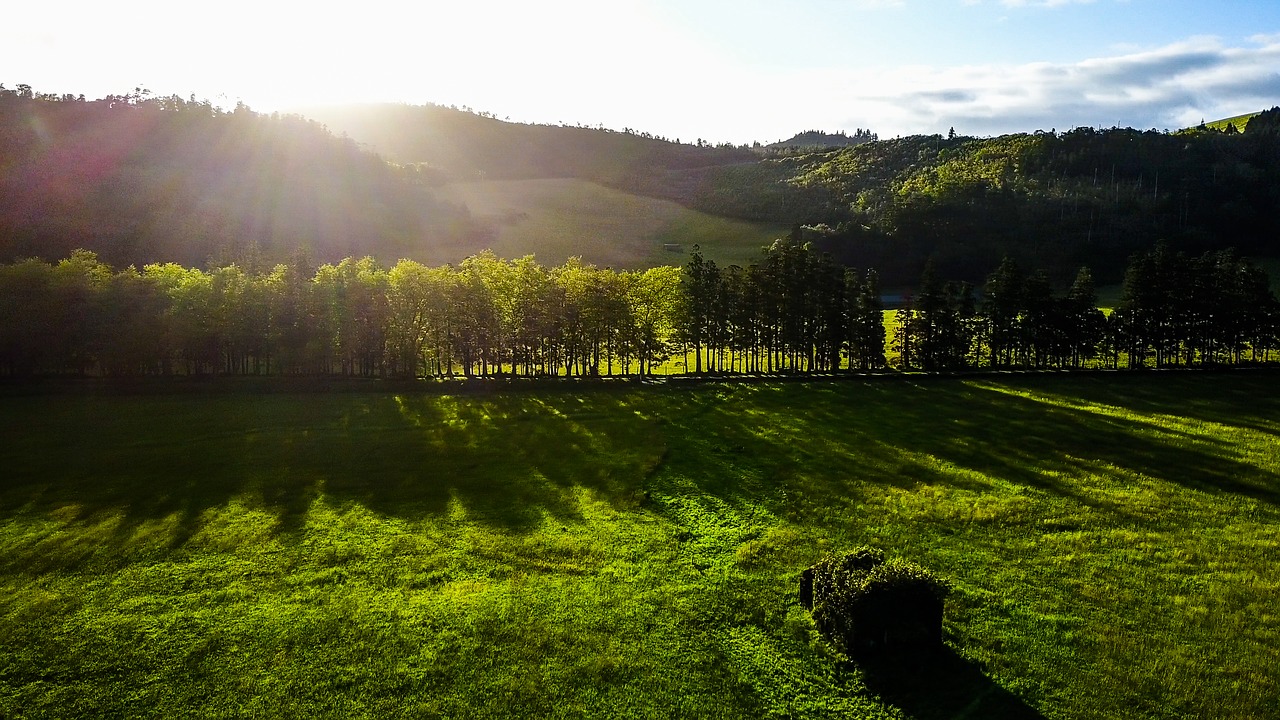 azores sunrise meadow free photo