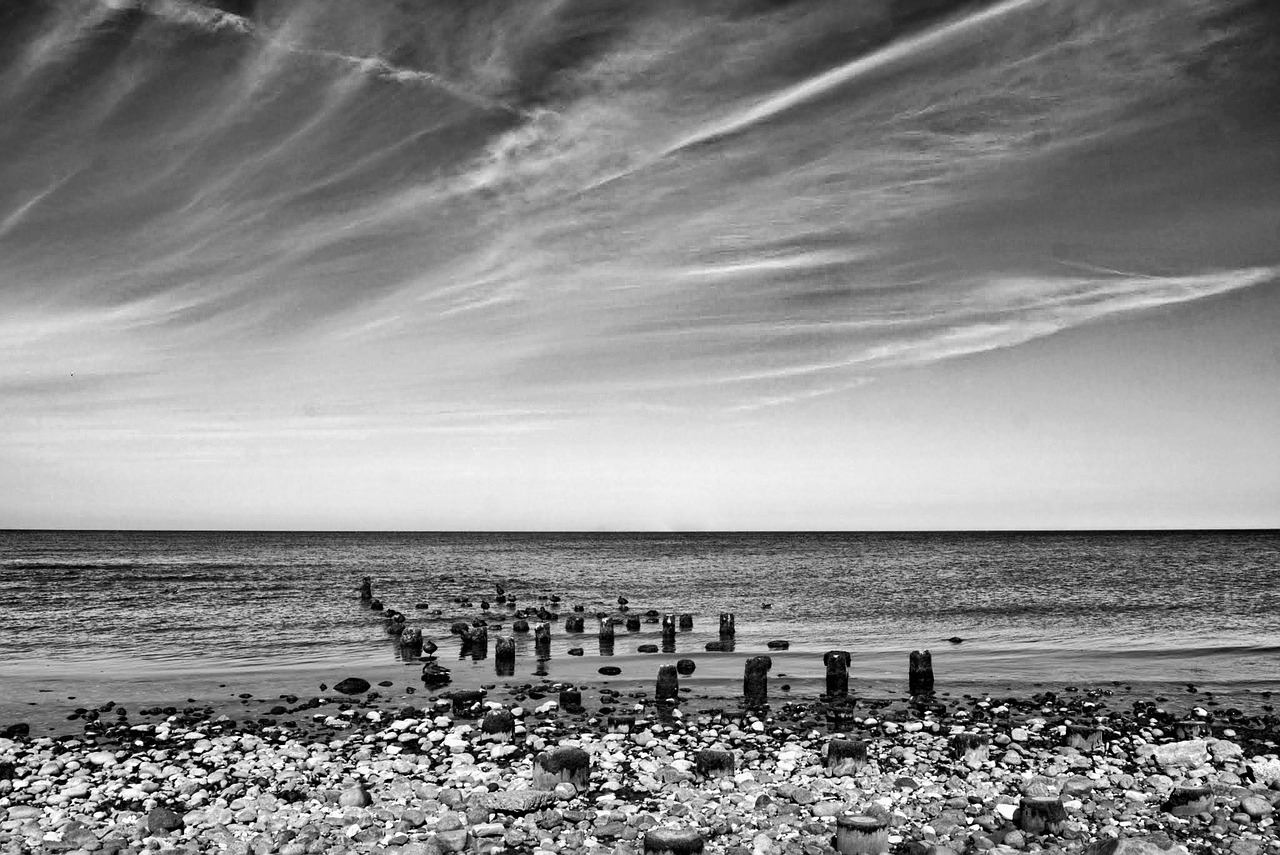 b w sea beach free photo