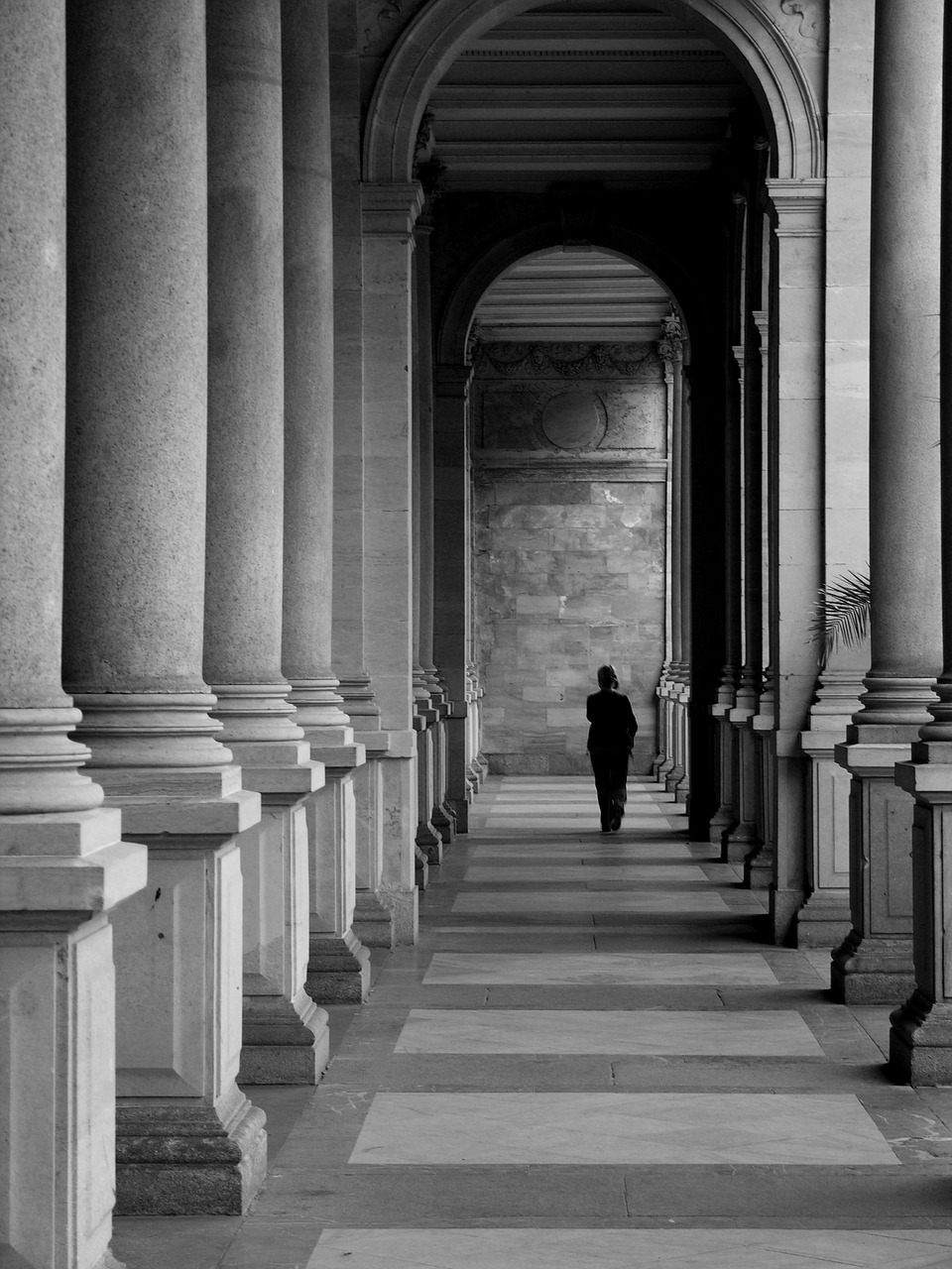 b w photography architecture the colonnade free photo