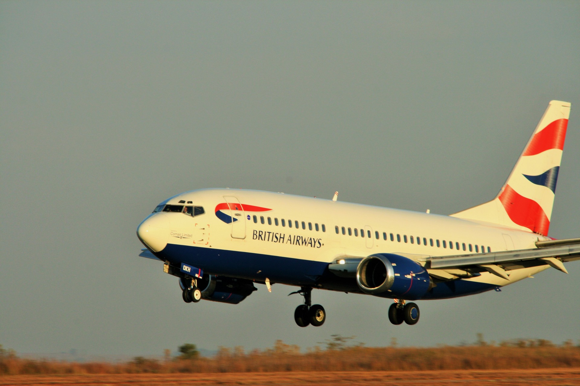 Jet,airline,airshow,ba b-737 landing at air show,free pictures - free ...