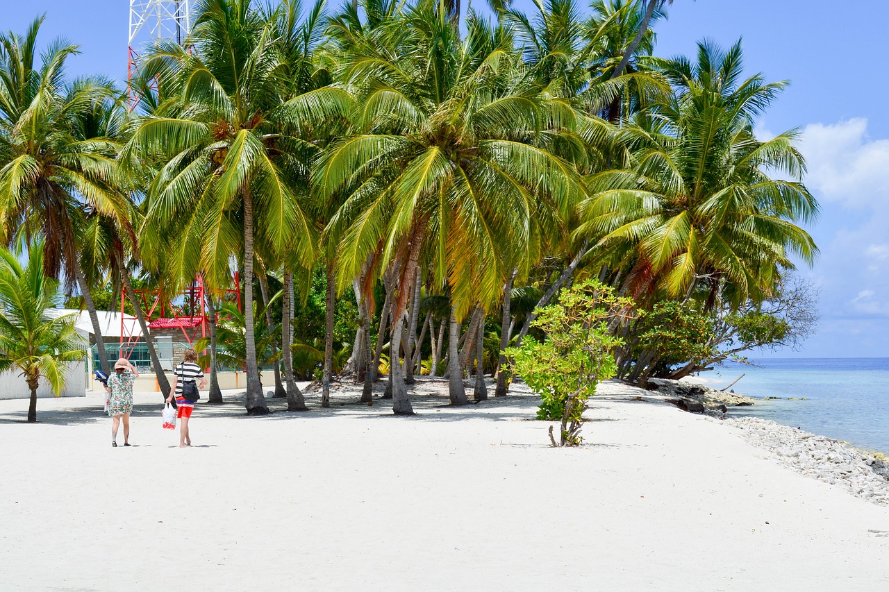 baa palm trees on the beach dharavandhoo free photo