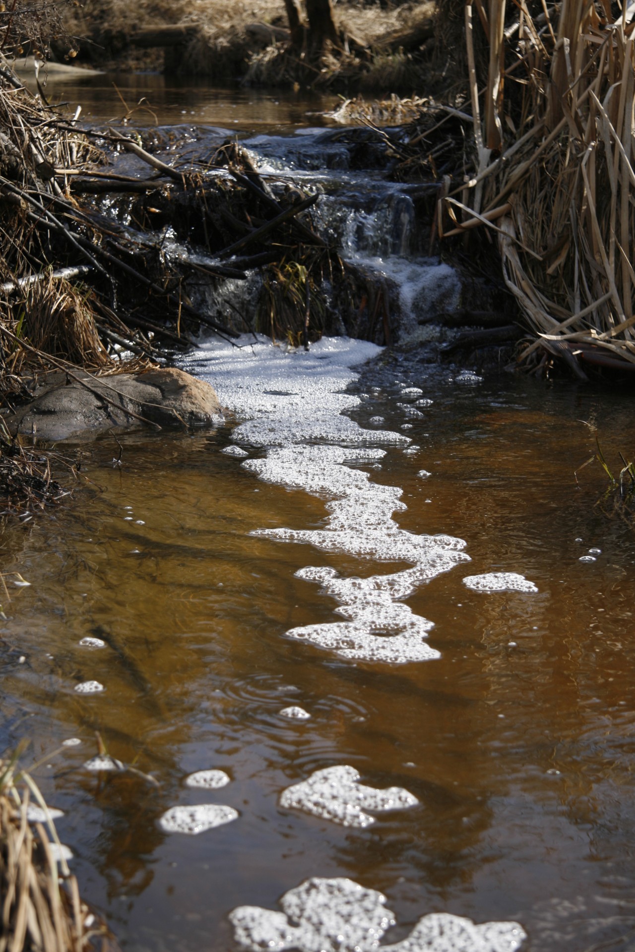 babbling brook stream free photo