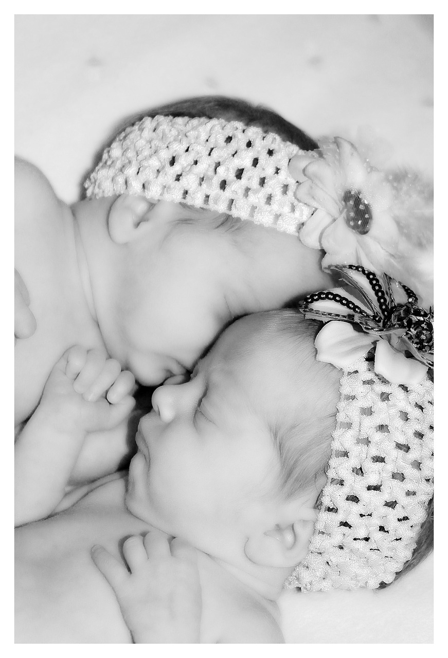 babies twins newborn free photo