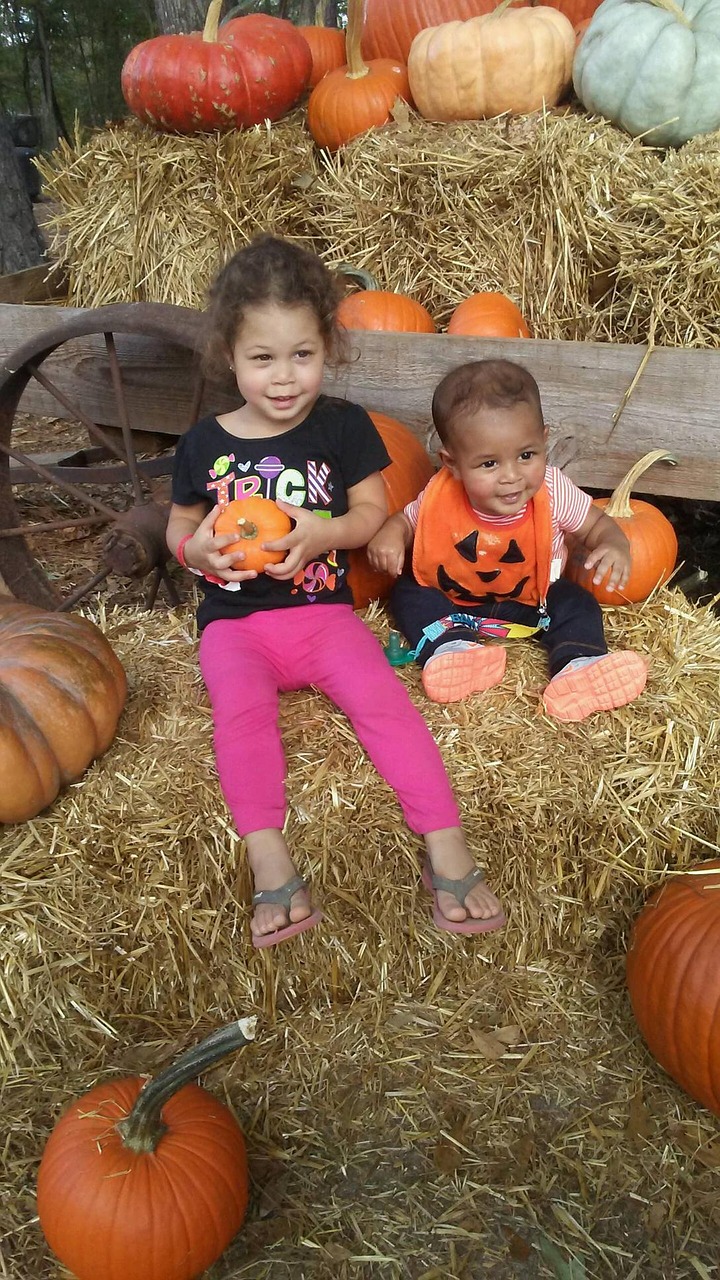 babies pumpkins halloween free photo