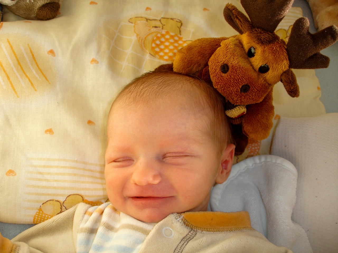 baby child infant free photo