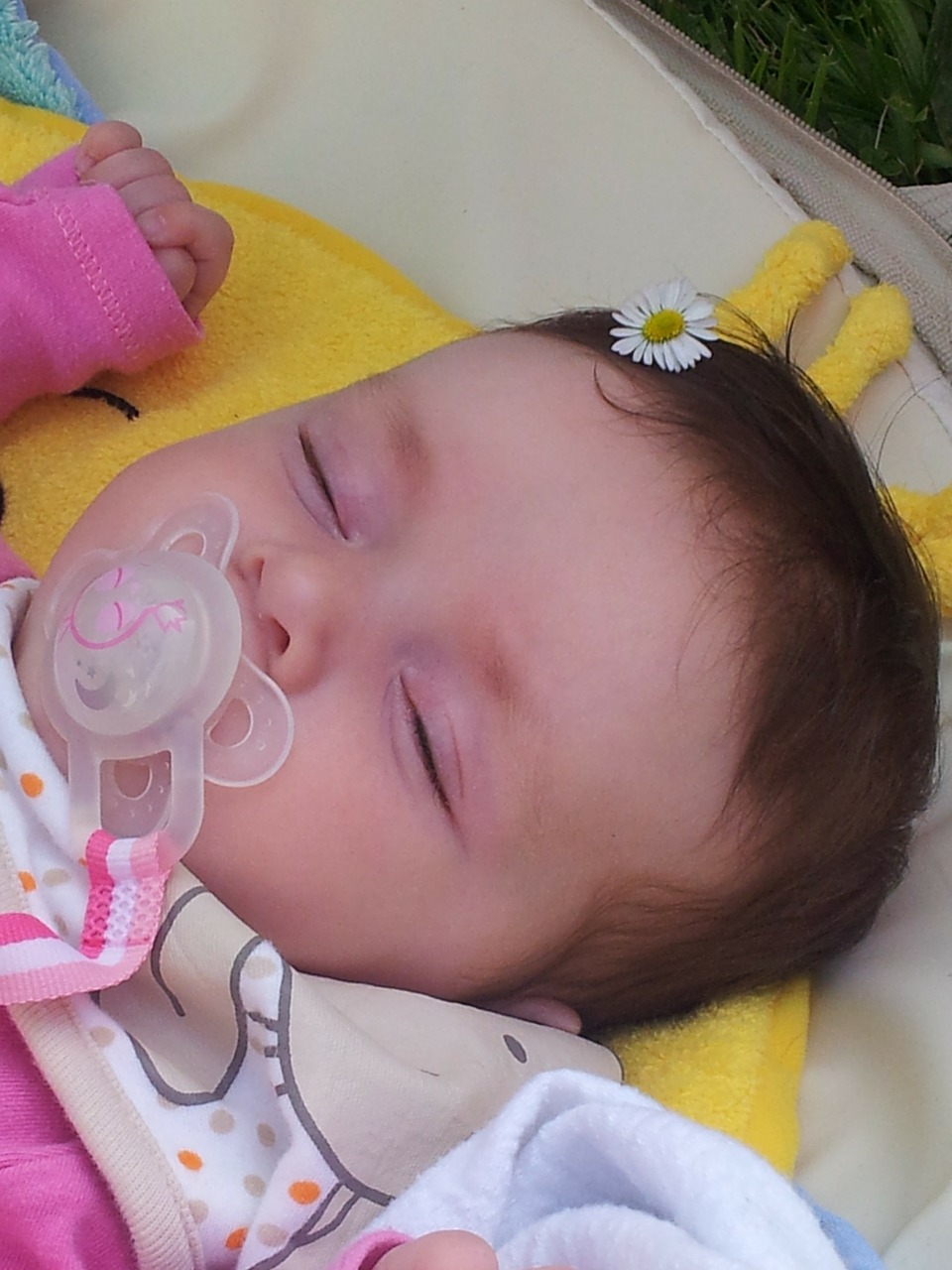 baby sleep infant free photo