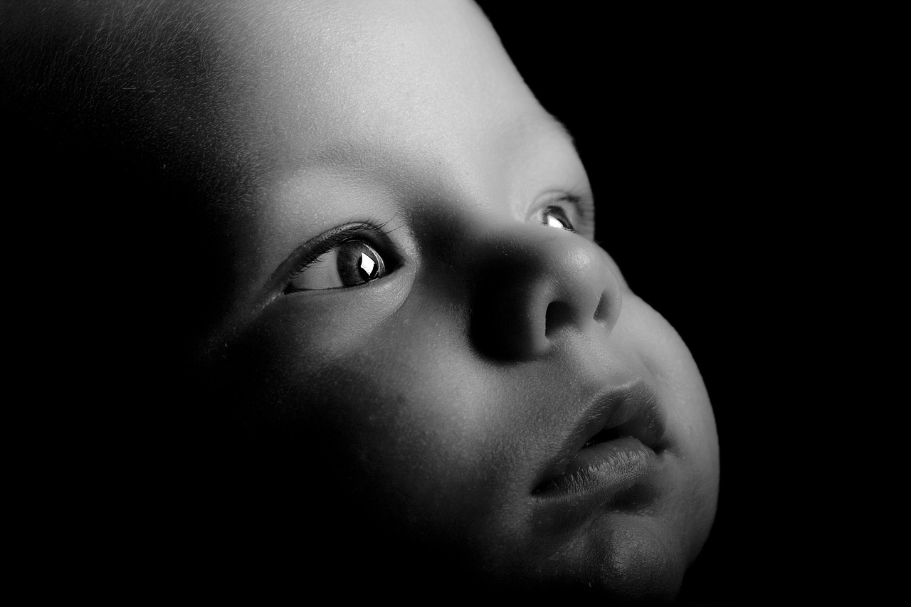 baby eyes learning free photo