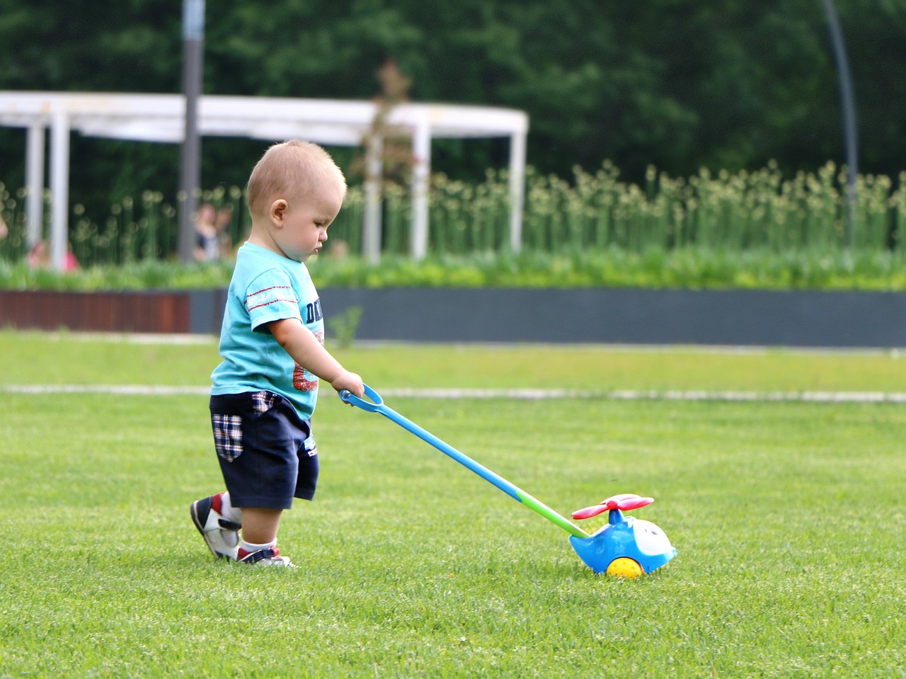 baby field toy free photo