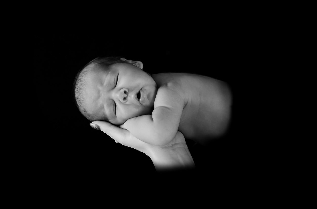 baby newborn sleep free photo