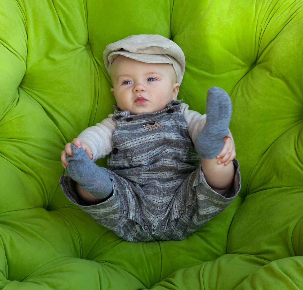 baby green infant free photo