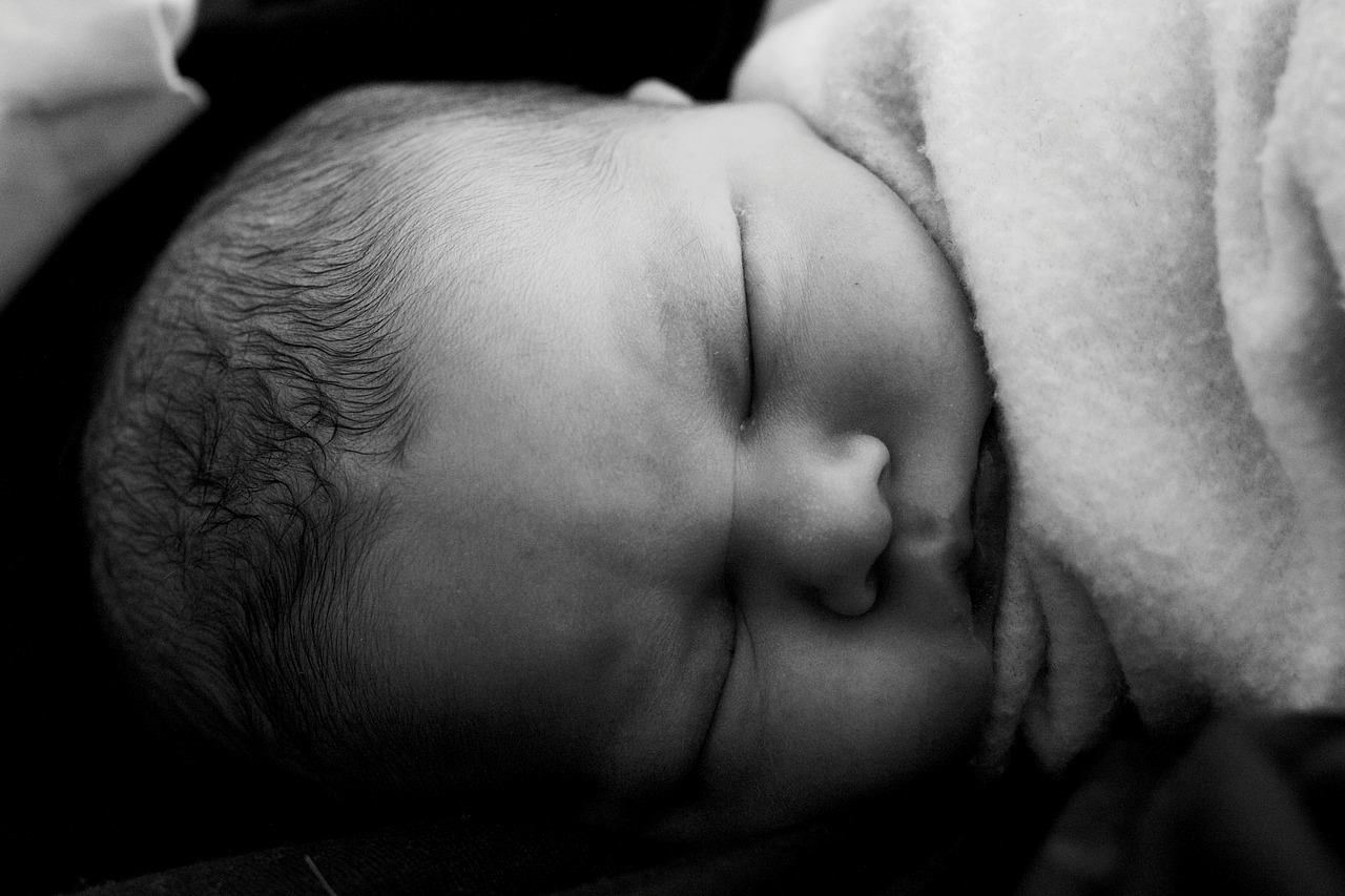 baby infant newborn baby free photo