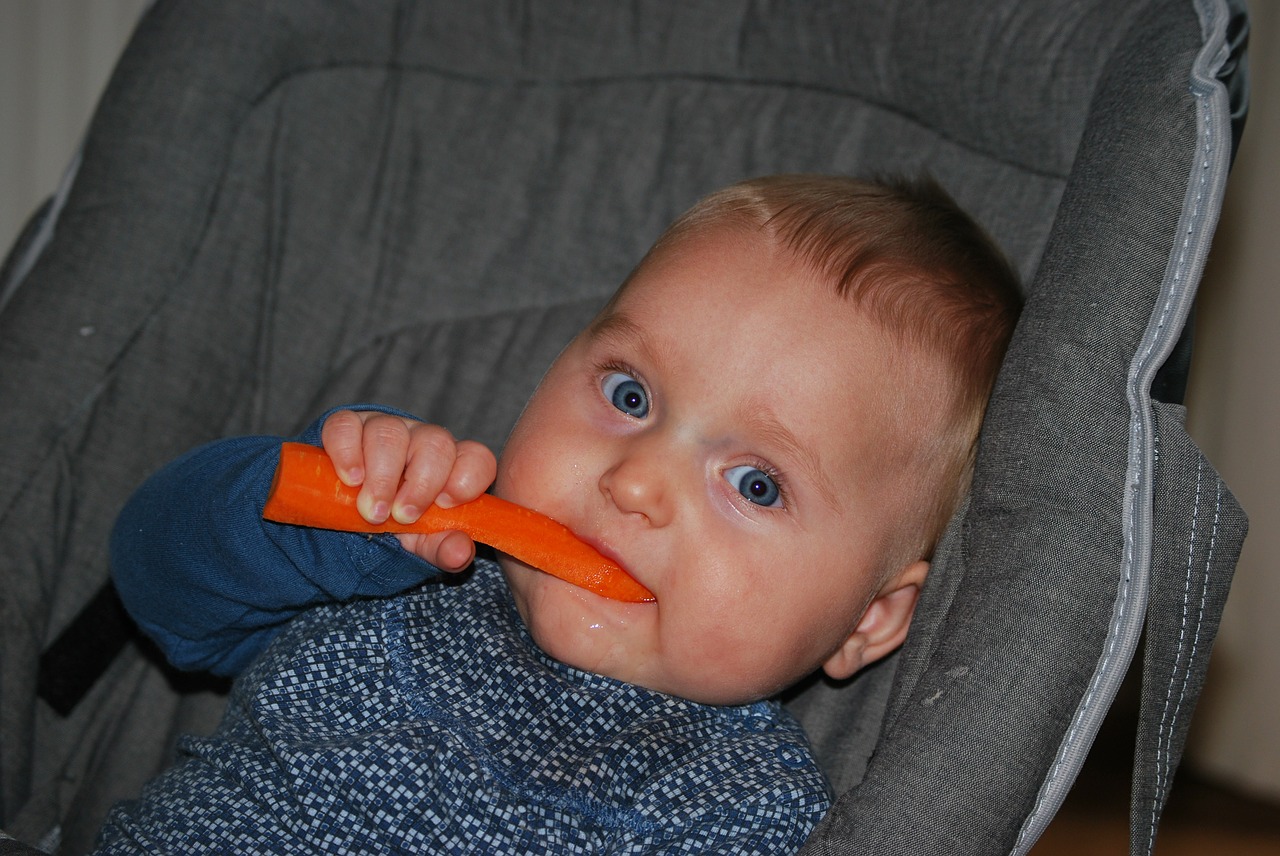 baby food root free photo