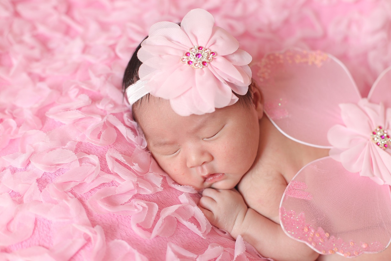 baby pink little angel free photo