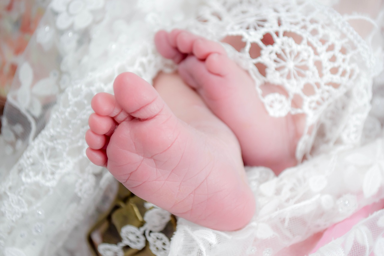 baby feet cute free photo