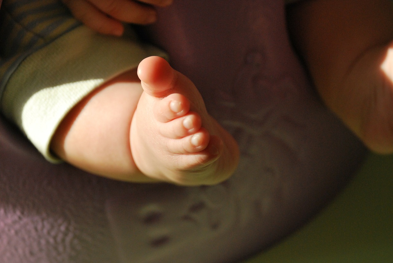 baby baby foot infant free photo